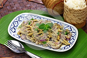 Spicy bamboo shoot salad, thai cuisine