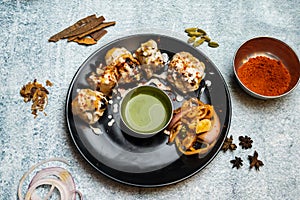 Spicy bbq Chicken Malai tikka boti Kebab with chili sauce served in a dish isolated on grey background top view of bangladesh food