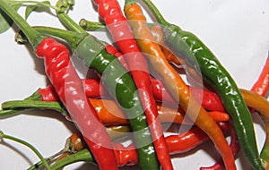 Spicy chili. Astrakhan pepper. photo