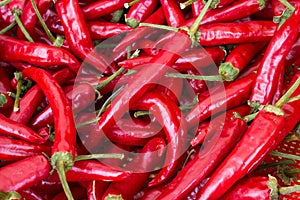 Spicy chilli, spice with many properties