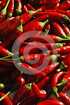 Spicy chillies