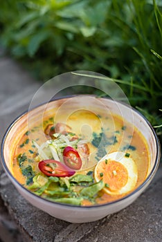 Spicy Coconut Noodle Soup with Fish, Egg and Vegetables. Laksa, Local Malaysian Dish