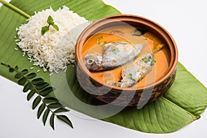 Spicy Fish curry - popular Indian seafood served with rice