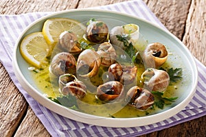 Spicy French snails, escargot cooked with butter, parsley, lemon photo