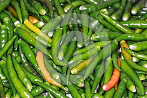 Spicy fresh thin long green chilies