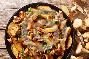 Spicy fried potato with forest mushrooms chanterelles close-up on a plate. horizontal top view