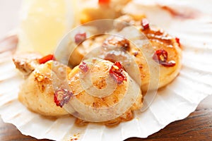 Spicy fried scallops in a shell - shallow DOF photo