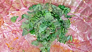 Spicy green fresh organic chopped sliced coriander leaves