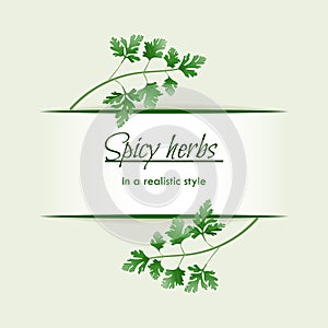 Spicy herbs in a realistic style, frame