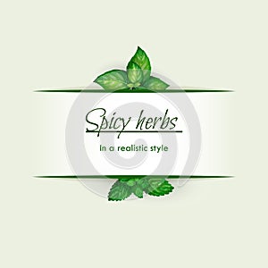 Spicy herbs in a realistic style, frame