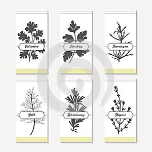 Spicy herbs silhouettes collection. Hand drawn cilantro, parsley, tarragon, dill, rosemary, thyme