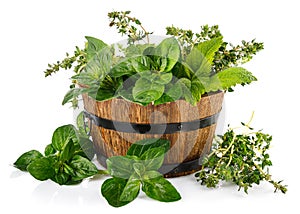 Spicy herbs in wooden basket. Gardening farming.