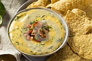 Spicy Homemade Cheesey Queso Dip