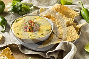 Spicy Homemade Cheesey Queso Dip