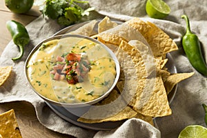 Spicy Homemade Cheesey Queso Dip