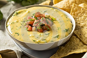 Spicy Homemade Cheesey Queso Dip photo