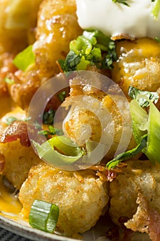 Spicy Homemade Loaded Taters Tots