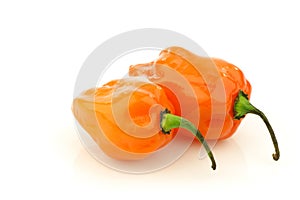 Spicy hot adjuma peppers(Capsicum chinense)