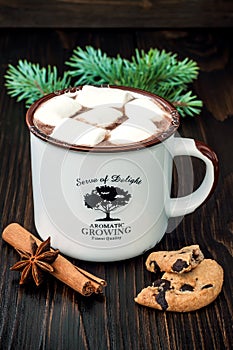 Spicy hot chocolate marshmallows and chocolate chip cookies over dark wooden background