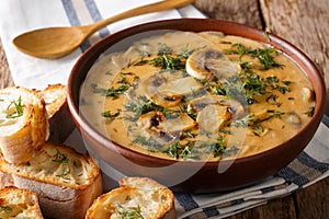 Spicy mushroom soup with fresh dill in a bowl and toast close-up. horizontal