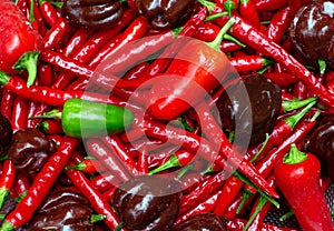 Spicy peppers for cooking