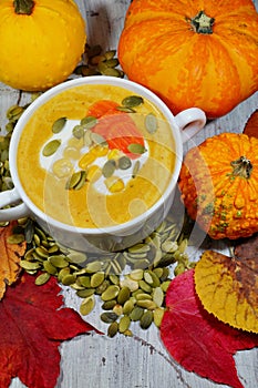 Spicy pumpkin soup in a white bowl, selective focus