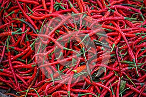 Spicy red chilies in the market. Top view.