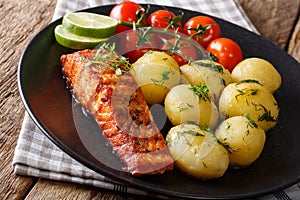 Spicy roasted salmon and boiled potatoes, fresh tomatoes close-up. horizontal