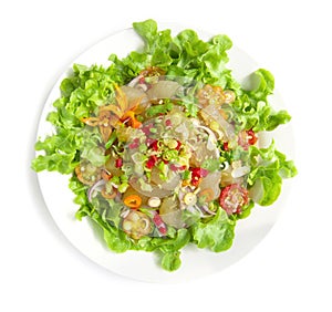 Spicy salad beef tendon Thai food appetizer ingredient Thai herbs decorate vegetables and tomato