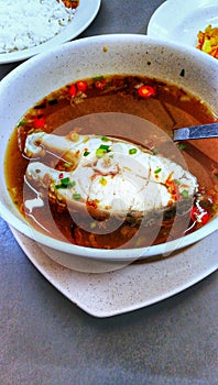 Spicy snake head fish soup