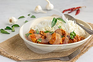 Spicy South Indian Chicken Curry and Rice Garnished with Curry Leaves, Garlic and Chili Peppers, Indian Food Photography