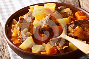 Spicy stew estofado with beef and vegetables in a bowl close-up. horizontal photo