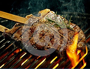 Spicy t-bone steak grilling over a summer barbecue photo