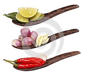 Spicy Thai food ingredients