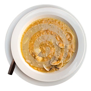 Alubias con almejas of white beans stewed with clams photo