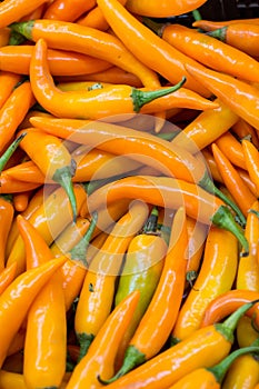 Spicy yellow chilly peppers for sale