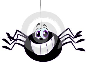 Spider