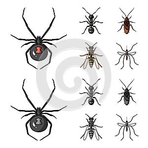 Spider, ant, wasp, bee .Insects set collection icons in cartoon,monochrome style vector symbol stock illustration web.