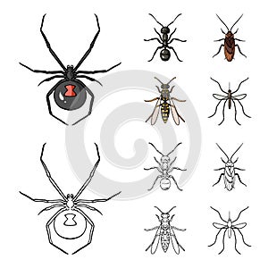 Spider, ant, wasp, bee .Insects set collection icons in cartoon,outline style vector symbol stock illustration web.