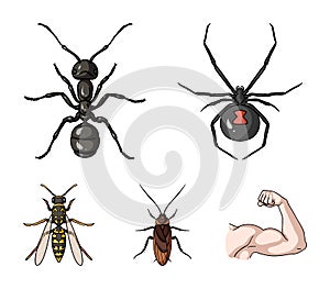 Spider, ant, wasp, bee .Insects set collection icons in cartoon style vector symbol stock illustration web.