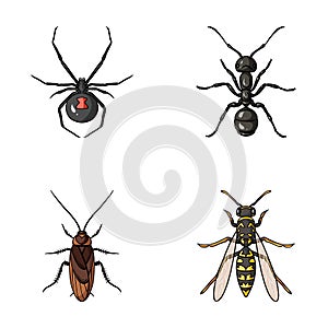 Spider, ant, wasp, bee .Insects set collection icons in cartoon style vector symbol stock illustration web.