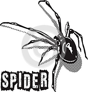 Spider black