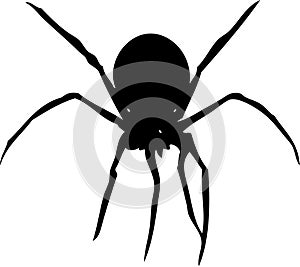 Spider Black and White Illustration