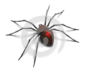 Spider : Black Widow