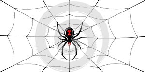 Spider Black Widow, cobweb. Red black spider 3D, spiderweb, isolated white background. Scary Halloween decoration icon