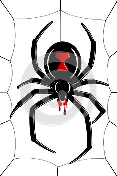 Spider Black Widow, cobweb. Red black spider 3D, spiderweb, isolated white background. Scary Halloween decoration icon