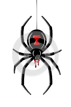Spider Black Widow. Red black bug spider 3D, isolated white background. Scary Halloween redblack icon, symbol horror