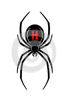 Spider Black Widow. Red black bug spider 3D, isolated white background. Scary Halloween redblack icon, symbol horror