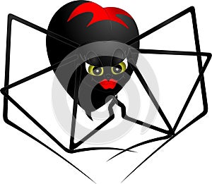 Spider black widow with red symbol on the back