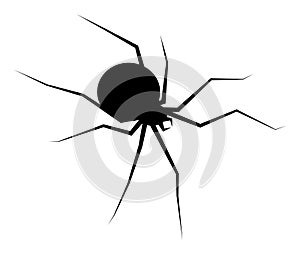 spider black widow silhouette vector symbol icon design. Beautiful illustration isolated on white background